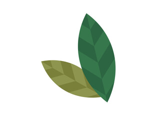 Leaves vector illustration. Blooms and blossoms are artistic expressions carefully tended garden Harvesting leaves requires gentle touch to maintain plants natural balance Cultivating garden is art