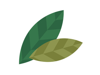 Leaves vector illustration. Cultivating blossoms and petals is ode to natural beauty garden Harvesting leaves demands gentle touch, preserving plants essence Cultivating garden is art, nurturing