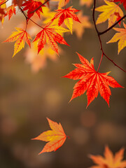 Autumn colorful bright leaves on tree in autumnal park. Autumnal pattern background fall backdrop. Raindrops and serene sunset light, soft focus bokeh blur tranquil. Magical mood, colorful foliage. AI