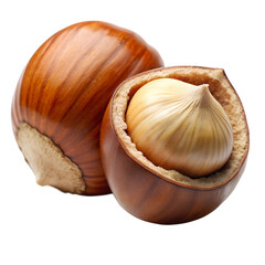 Hazelnut isolated on transparent background png
