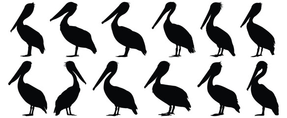 Pelican silhouette set vector design big pack of bird illustration and icon