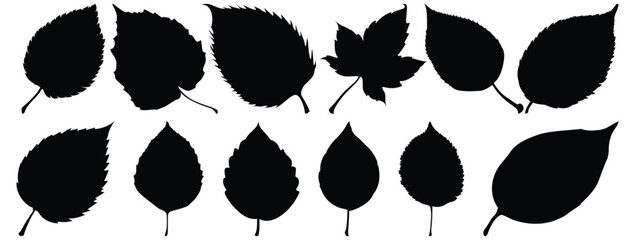 Leaf silhouette set vector design big pack of foliage illustration and icon