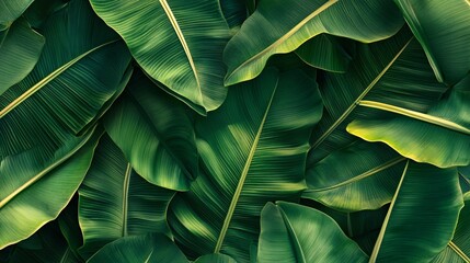 Repeating design of banana leaves in different shades of green creating a natural background