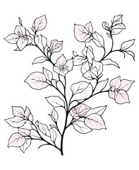 Green vine plant with dried pink flowers art, coloring page