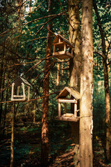 three cozy wooden bird houses attached to a pine tree in a magic forest