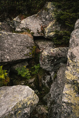 stone wall with moss