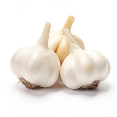 Fototapeta premium Fresh garlic bulbs isolated on a clean white background