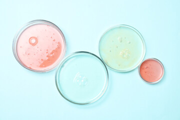 Petri dishes with samples on light blue background, top view