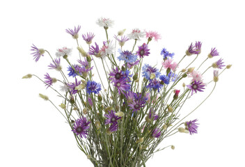 Fototapeta premium Bouquet of beautiful wildflowers isolated on white