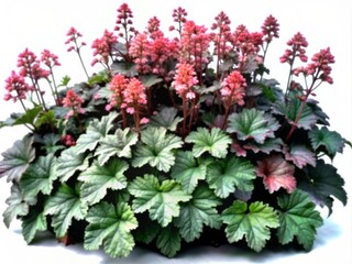 Vibrant coral bells flowers piled high in a heap, showcasing delicate bell-shaped blooms and intricate foliage, isolated on a transparent background with hyperrealistic detail.