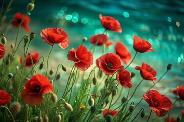 Obraz premium Vibrant red poppies sway gently in the wind, their delicate petals and stems dancing across a soft, watery background, evoking feelings of resilience and renewal.