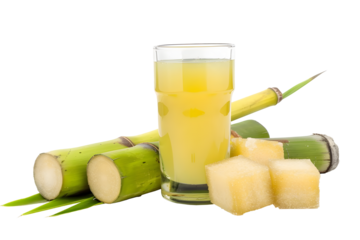 Sugar cane juice and sugar cubes PNG