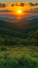 beautiful vertical wallpapers and screensavers for smartphone