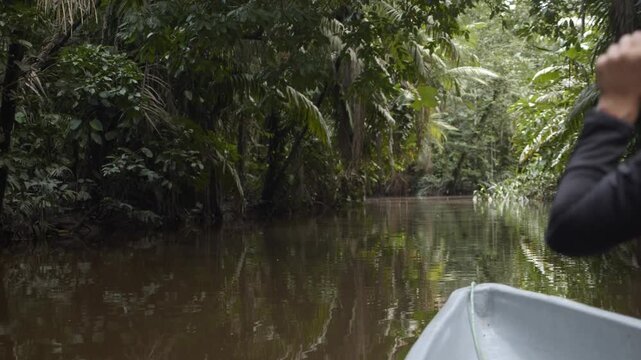 Boat navigating through narrow river in amazon rainforest