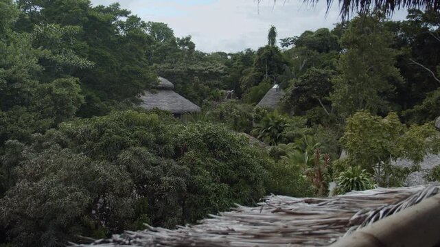 Overlooking cabins of a luxury hotel in amazon rainforest in South America
