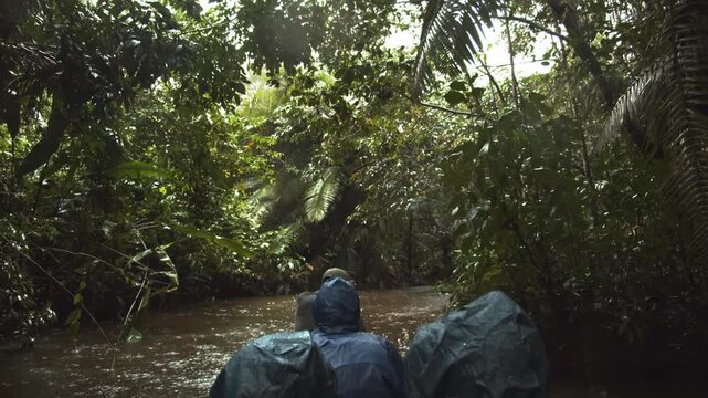 Tourist group in a boat floating along a river to watch for animals in the rainforest