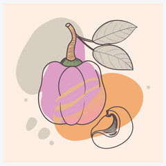 Stunning Cashew Apple Fruit Vector Illustration