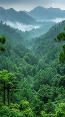 Fototapeta premium beautiful vertical wallpapers and screensavers for smartphone