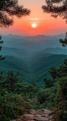 beautiful vertical wallpapers and screensavers for smartphone