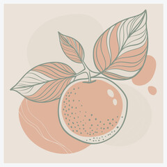 Brown Color Fruit Vector Illustration