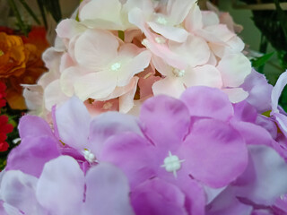 Beautiful colorful artificial flowers suitable for home interior decoration.