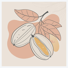 Vibrant Bilimbi Fruit Vector Illustration