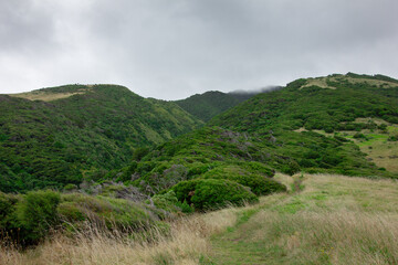 Breathtaking view over Te Toto Gorge Lookout and Mt Kariori on an overcast summer day. High vantage point. Raglan Waikato