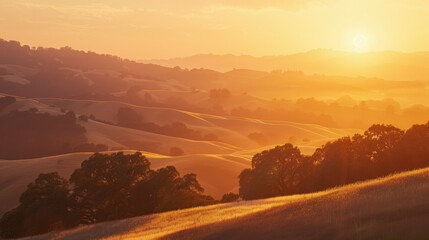 Obraz premium A golden sunset over rolling hills, casting a warm glow across the landscape