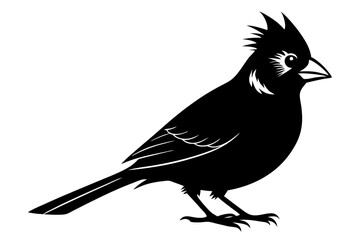 Cardinal silhouette vector illustration