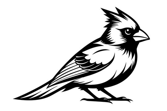 recommend clip art: Cardinal silhouette vector illustration