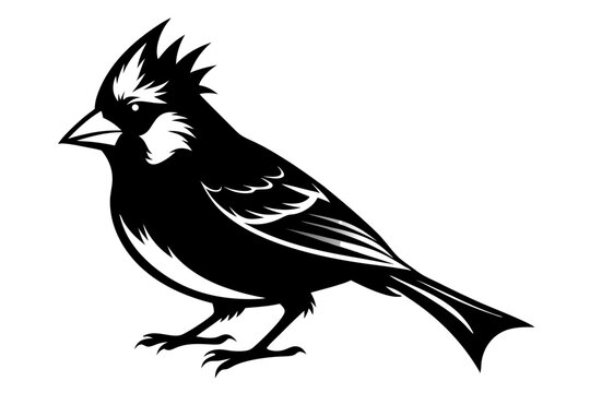 recommend clip art: Cardinal silhouette vector illustration