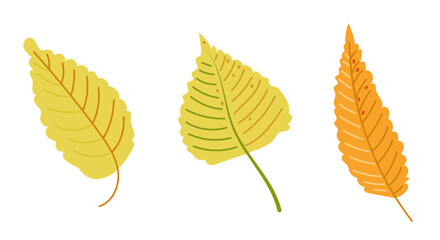 Autumn leaves set in colorful hand drawn flat style. Simple botanical stickers. Vector clipart of doodle drawings isolated on white background