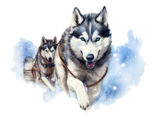 PNG Mammal animal nature pet.