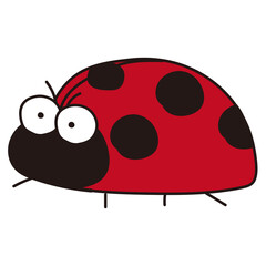 Obraz premium てんとう虫 