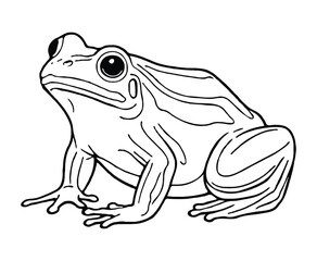 Purple Frog Coloring Page for kids