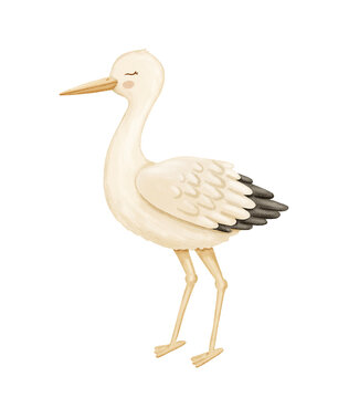 recommend clip art: Watercolor stork character. Bird as symbol for baby shower, pregnancy. Cute hand drawn isolated illustration