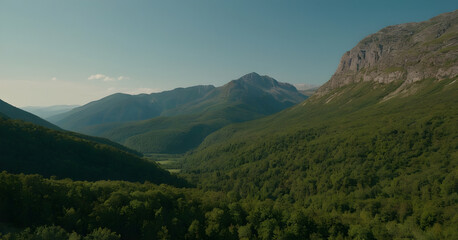 Fototapeta premium Lush green forest covering mountain valley on sunny day