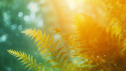 Obraz premium Fern fronds seen from below Big green big leaf silhouettes and blurred shapes in colorful vegetation background with selective focus 3d greenish yellow organic pattern in sun lit bota : Generative AI