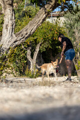 Girl feeding dog in the countryside.