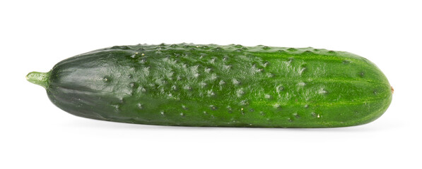 One fresh green cucumber isolated on white