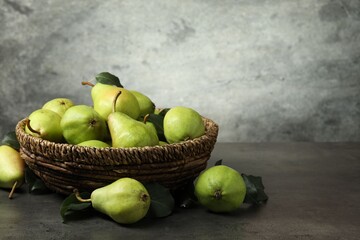 Many fresh ripe pears on grey table. Space for text