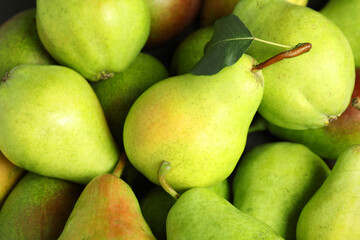 Many fresh ripe pears as background, closeup