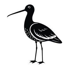 Obraz premium Snipe Bird Vector Images, dowitcher bird silhouette 