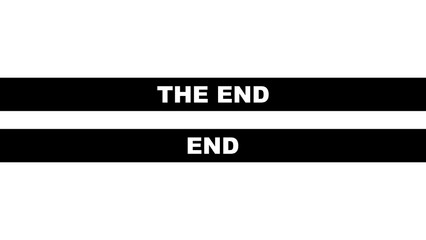 THE END