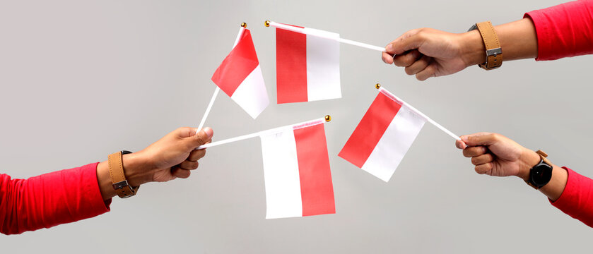 Hand holding the Indonesian flag, isolated on a white background