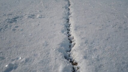 A trail of footprints on fresh white snow