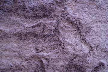 Soft, violet, artificial fiber floor carpet texture. Top view, close up shot, no people