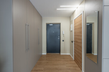 Home Entrance Hall. Interior. Wooden Black Outdoor Door, Brown Flooring. Minimalism. LED Light. Outfit Wardrobe Closet and Mirror. Door to Bathroom