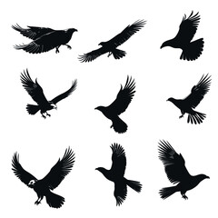 Obraz premium vector shilouette of birds flying on white background