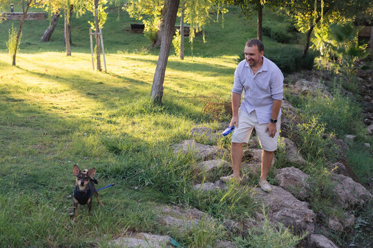 Smiling middle-aged man walks and plays with a small dog in public park